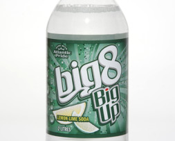 big 8 355ml soda regular